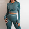 2pcs Seamless Yoga Pants Sports Gym Fitness Leggings And Long Sleeve Tops Outfits Butt Lifting Slim Workout Sportswear Clothing Angelwarriorfitness.com