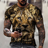 Taamlou Men's Muscle Fitness Short Sleeve Printed Personalized Fashion Sweatshirt Fashionable T-Shirt(M,TSM00818BD Angelwarriorfitness.com