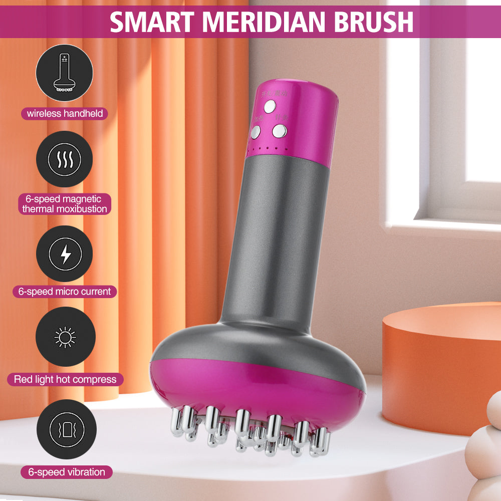 Electric Meridian Massager EMS Microcurrent Vibration Hot Compress Guasha Scraping Brush Detox Slimming Fat Burner Beauty Health Angelwarriorfitness.com