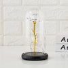 Preserved flower glass cover rose flower glass cover gift gifts Angelwarriorfitness.com