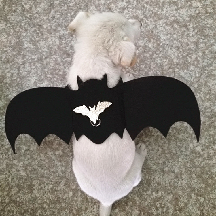 Dog dressed up with bat wings Angelwarriorfitness.com