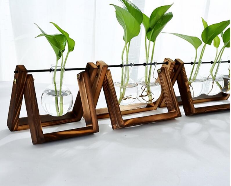 Glass Tabletop Plant Angelwarriorfitness.com
