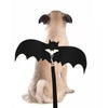 Dog dressed up with bat wings Angelwarriorfitness.com