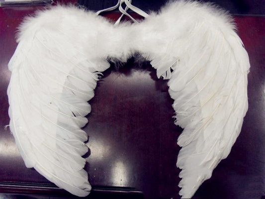 Victoria's Secret Feather angel wings stage performance Angelwarriorfitness.com