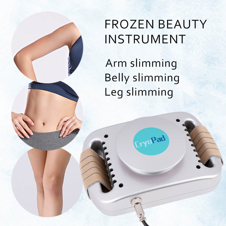 Fat Removal Portable Freezer Beauty Apparatus Angelwarriorfitness.com