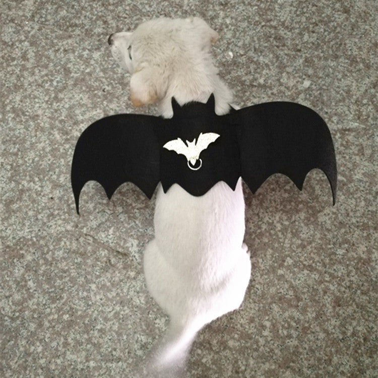 Dog dressed up with bat wings Angelwarriorfitness.com