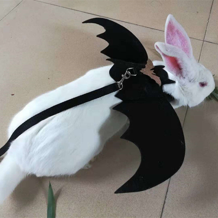 Dog dressed up with bat wings Angelwarriorfitness.com