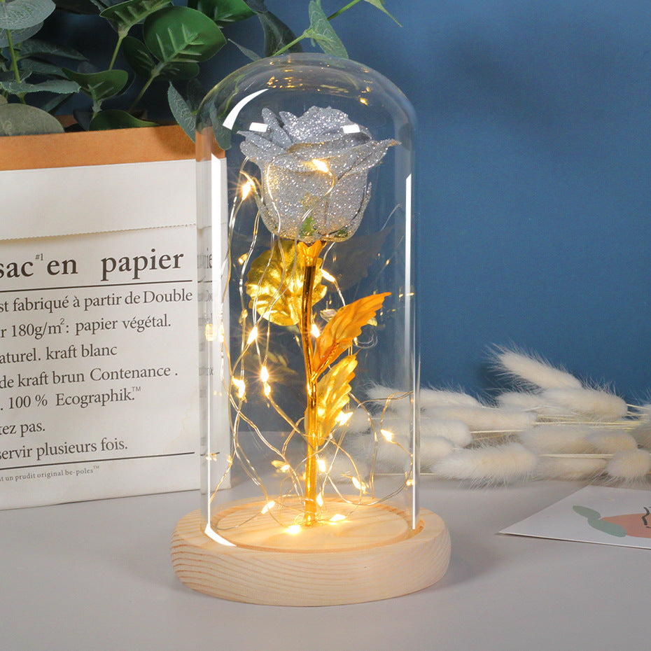 Valentines Day Gift  For Girlfriend Eternal Rose Flowers LED Light In Glass Cover Day Wedding Decoration Favors Mother Day Female Gift  Gift Angelwarriorfitness.com