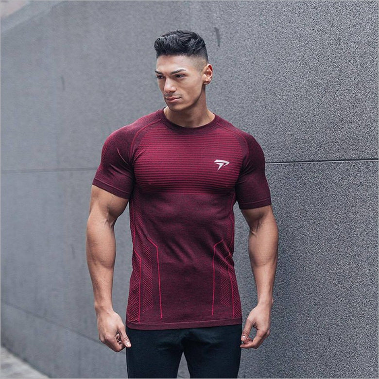 Muscle new men's cotton sports T-shirt Angelwarriorfitness.com