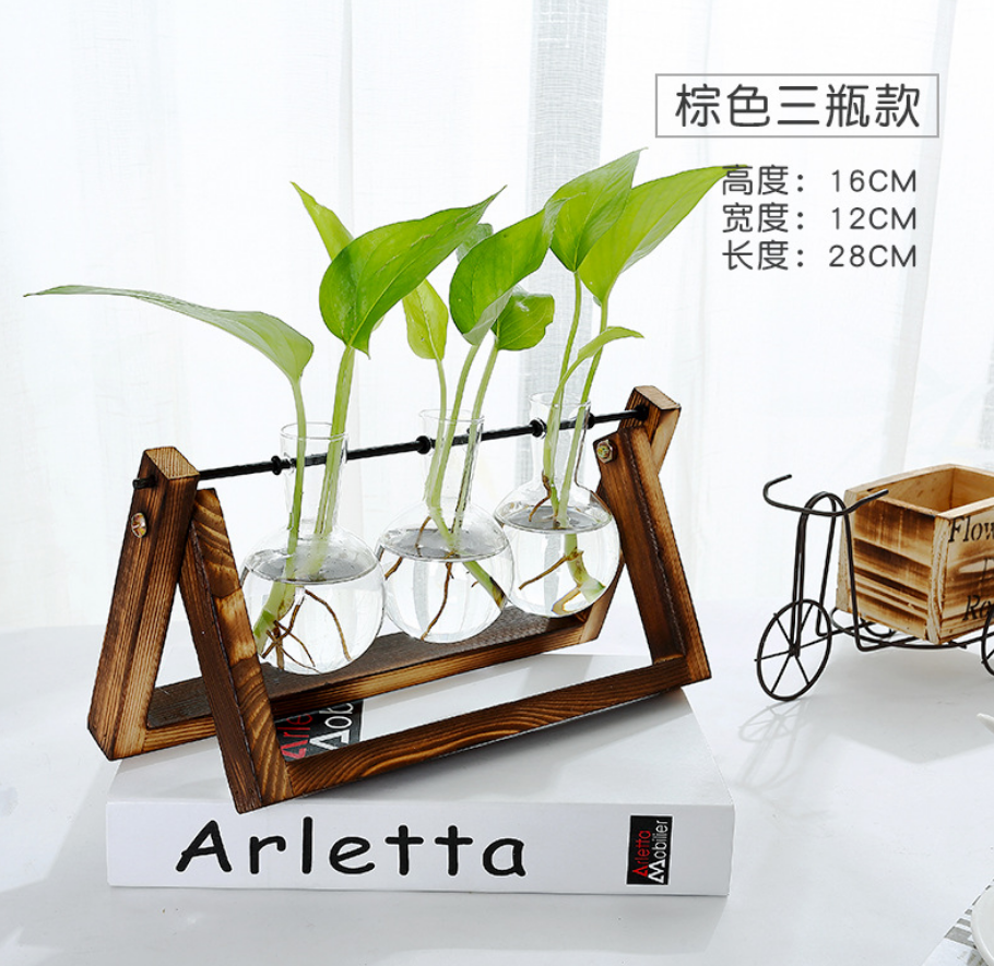 Glass Tabletop Plant Angelwarriorfitness.com
