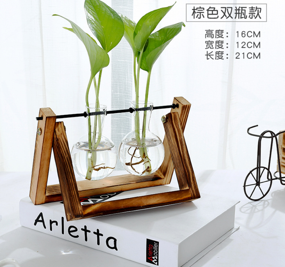 Glass Tabletop Plant Angelwarriorfitness.com