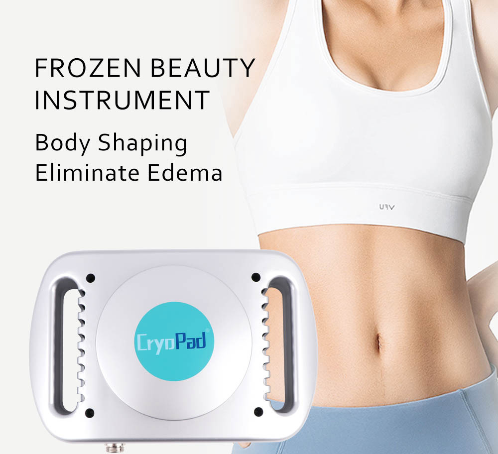 Fat Removal Portable Freezer Beauty Apparatus Angelwarriorfitness.com