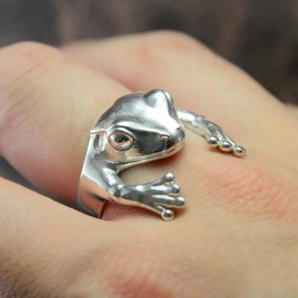 Retro Cute Frog Earring For Women Gold Silver Color Gothic Animal Pirecing Stud Earring Female Charm Jewelry Gift Angelwarriorfitness.com
