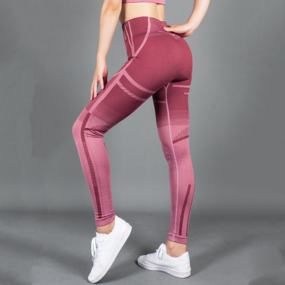 Spot  seamless knitted high elastic high waist hip lifting leisure fast drying tights fitness sports Yoga Pants Angelwarriorfitness.com